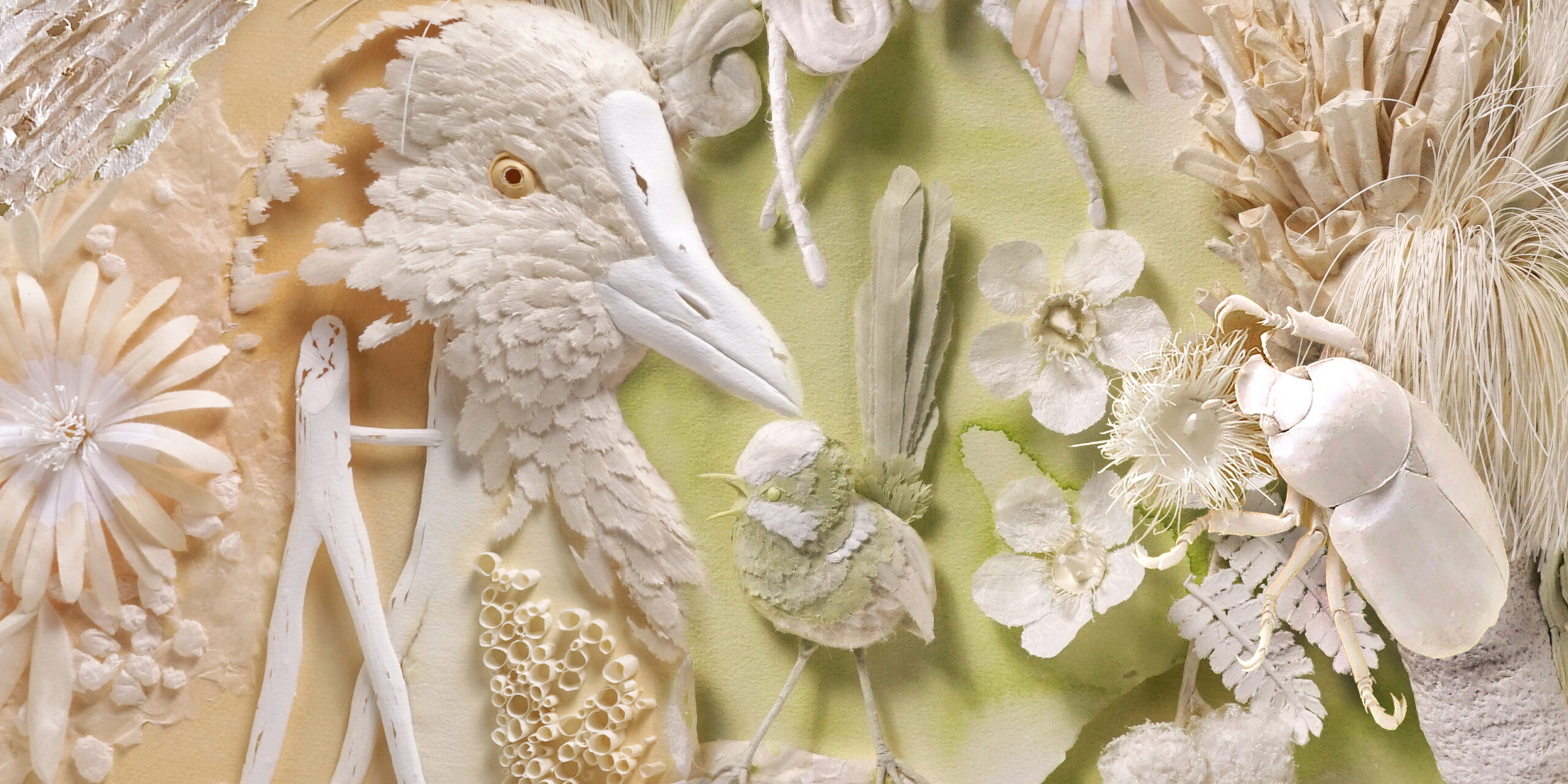 Insects, Botanicals and other Works