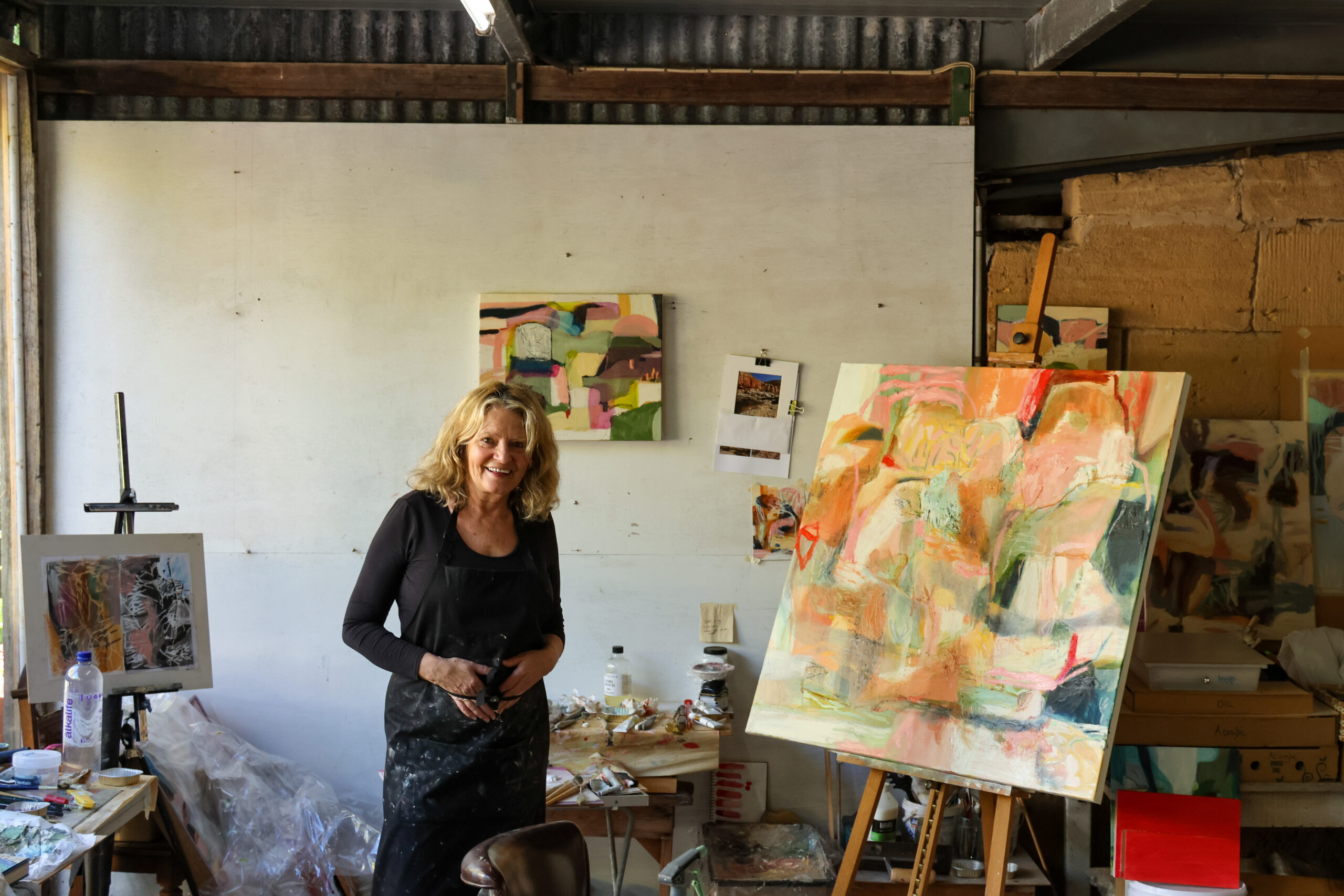 This Land 2 | Shari Nye