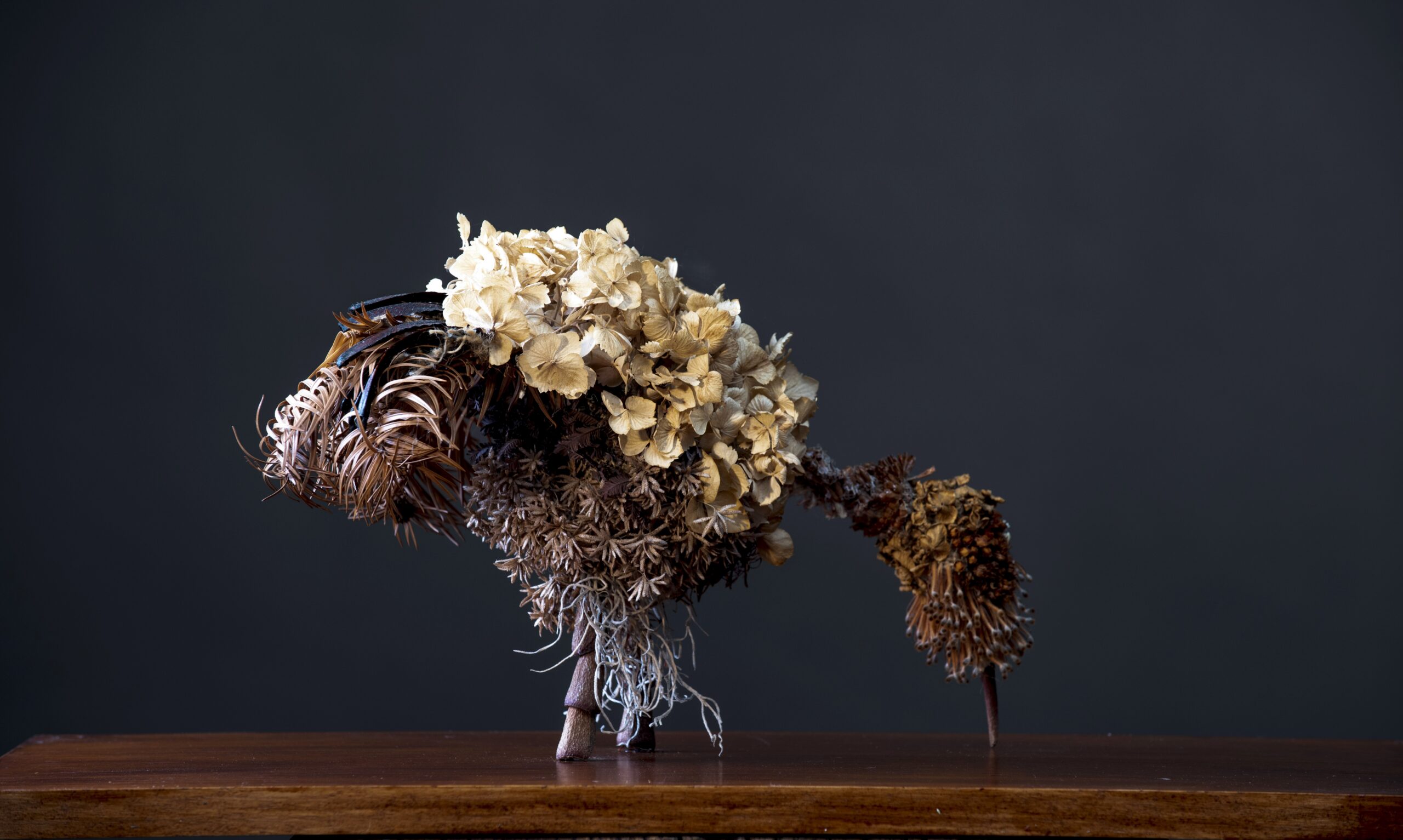 Future Pasts | Sarah Coffey, Julie Millowick OAM, Takako Osawa, Justine Roche, Tali Steer, Renée Sterling, Ed Thomson, Marylou Verberne curated by Theodora Pantelich
