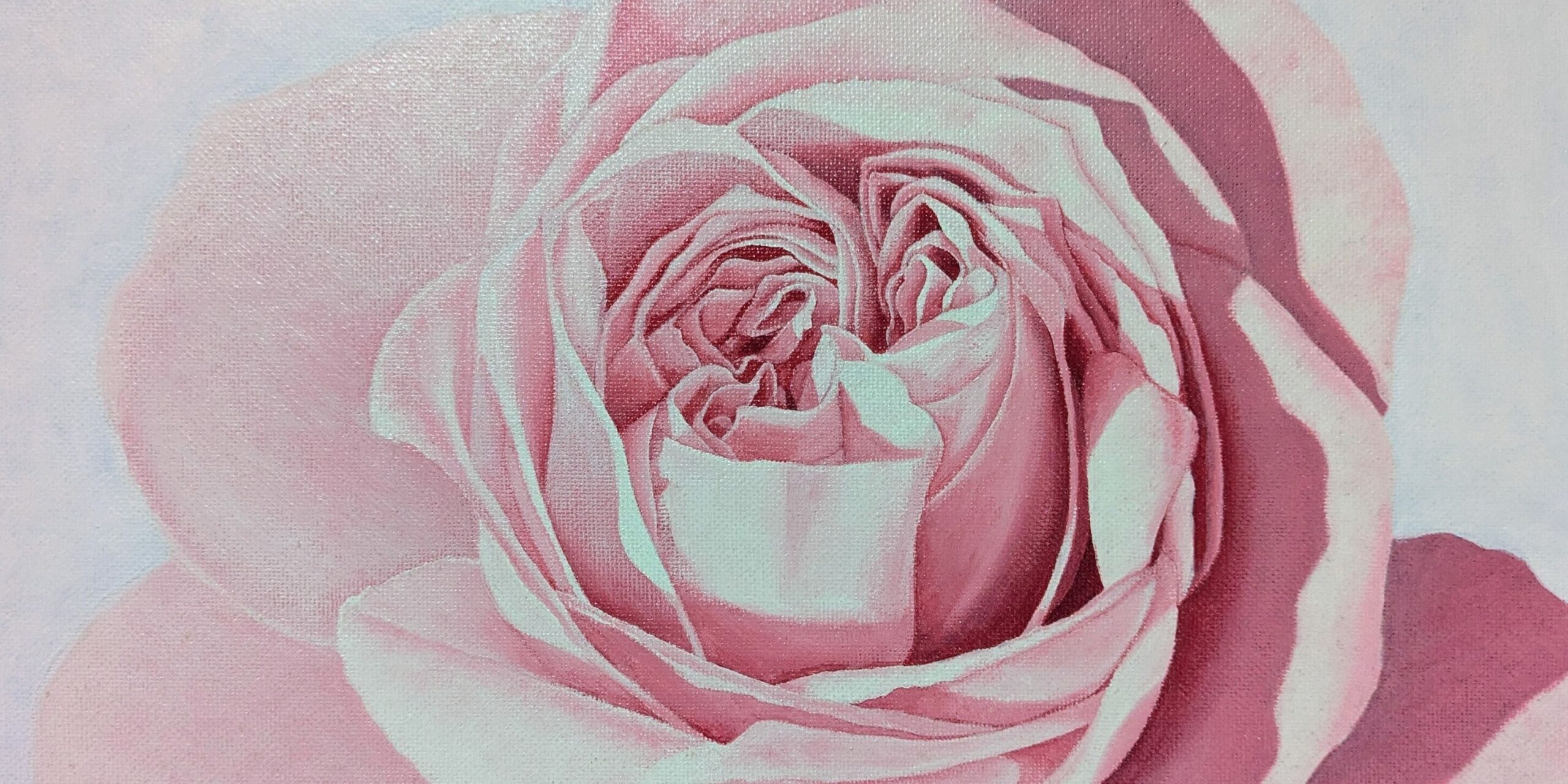 Roses Close Up | Karin Motyer